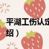 平湖工傷認定指南（關于平湖工傷認定指南介紹）