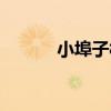 小埠子村（關于小埠子村簡介）