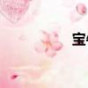 寶牛e配資（寶牛e配）