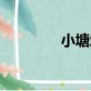 小塘坳（關于小塘坳簡介）