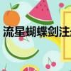 流星蝴蝶劍注冊表在哪（流星蝴蝶劍注冊表）