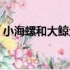 小海螺和大鯨魚（關于小海螺和大鯨魚簡介）