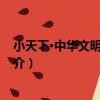 小天下·中華文明·文學卷（關于小天下·中華文明·文學卷簡介）