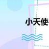 小天使獸（關于小天使獸簡介）