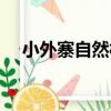 小外寨自然村（關于小外寨自然村簡介）