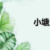 小塘主（關于小塘主簡介）