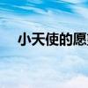 小天使的愿望（關于小天使的愿望簡介）