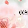 小泊村（關于小泊村簡介）