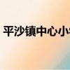 平沙鎮中心小學（關于平沙鎮中心小學介紹）