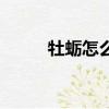 牡蠣怎么吃怎么做（牡蠣怎么吃）