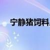 寧靜豬飼料廣告（寧靜送節目組豬飼料）