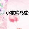 小夜啼鳥戀詩（關于小夜啼鳥戀詩簡介）