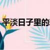 平淡日子里的刺（關于平淡日子里的刺介紹）