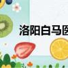 洛陽白馬醫院怎么樣（洛陽白馬醫院）
