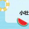 小壯溝（關于小壯溝簡介）