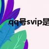 qq號svip是什么意思（svip是什么意思）