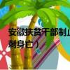 安徽扶貧干部制止非法電魚被刺身亡（干部制止非法電魚被刺身亡）
