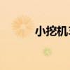 小挖機30型多少錢一臺（小挖）