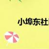 小埠東社區（關于小埠東社區簡介）