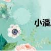 小潘莊（關于小潘莊簡介）