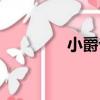 小爵爺（關于小爵爺簡介）