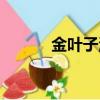 金葉子溫泉酒店預訂（金葉子）