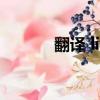 翻譯 life is a fuxking movie