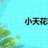 小天花粉（關于小天花粉簡介）