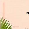 netsign駕駛室公司