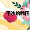 平沙蛤乸田路（關于平沙蛤乸田路介紹）