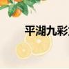 平湖九彩龍（關于平湖九彩龍介紹）