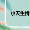 小天生橋村（關于小天生橋村簡介）