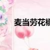 麥當勞花椒香骨雞（麥當勞香骨雞盒）