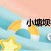 小塘壩村（關于小塘壩村簡介）