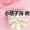 小塔子溝 巖組（關于小塔子溝 巖組簡介）