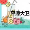 平潭大衛城（關于平潭大衛城介紹）