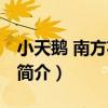 小天鵝 南方花園店（關于小天鵝 南方花園店簡介）
