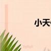 小天使（關于小天使簡介）