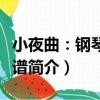 小夜曲：鋼琴伴奏譜（關于小夜曲：鋼琴伴奏譜簡介）