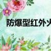 防爆型紅外火焰探測器（防爆紅外探測器）