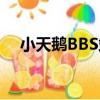 小天鵝BBS站（關于小天鵝BBS站簡介）