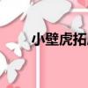 小壁虎拓展（關于小壁虎拓展簡介）