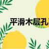平滑木層孔菌（關于平滑木層孔菌介紹）