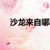 沙龍來自哪種語言（沙龍源于哪國語言）