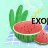 EXO跨年2021（exo跨年）
