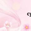 cydia  hackulo美國