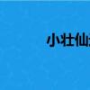 小壯仙途（關于小壯仙途簡介）