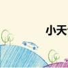 小天臺（關于小天臺簡介）