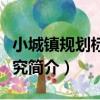 小城鎮規劃標準研究（關于小城鎮規劃標準研究簡介）