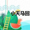 小天馬回家（關于小天馬回家簡介）